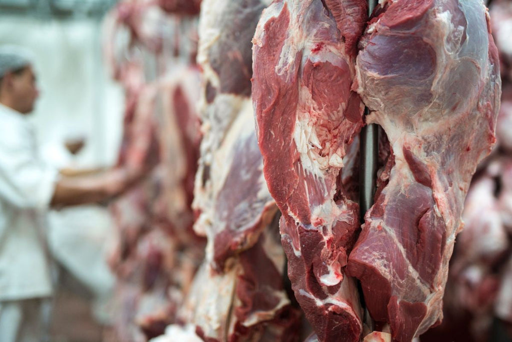 The Real Cost Savings of Buying Half a Cow