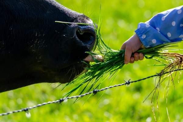 Grass-fed.png