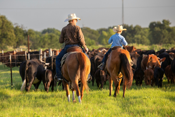 Texas-ranching.png