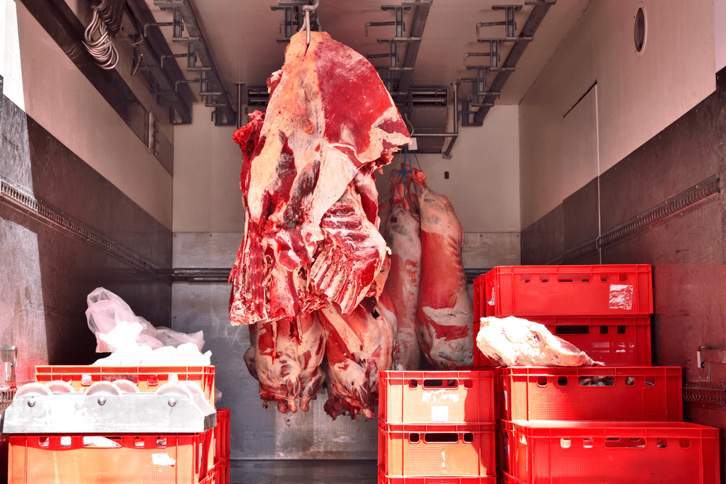 How to Read Beef Pricing for Wholesale Buyers