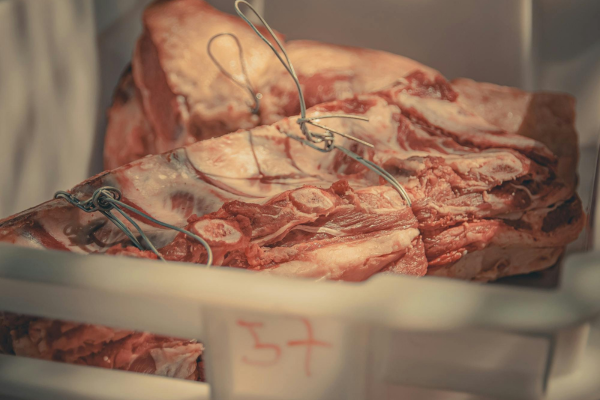 Large-Beef-Cut.png
