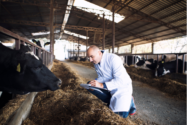 Cattle-Genetics-Assessment.png