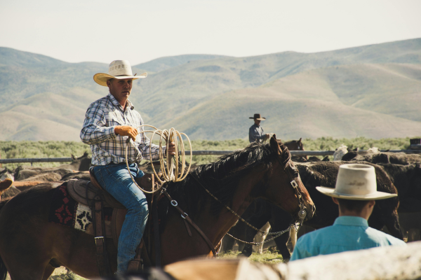 Rancher-Working.png