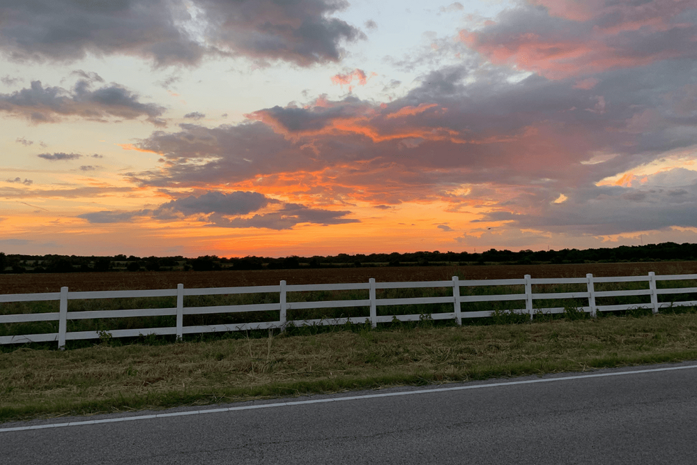 How Texas Weather Impacts Cattle Ranches Near Houston